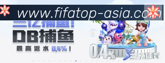 如何高效备战2026世界杯？球迷必看的全程指南